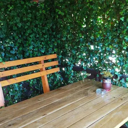 Mini Zakrut 3* Tatariv