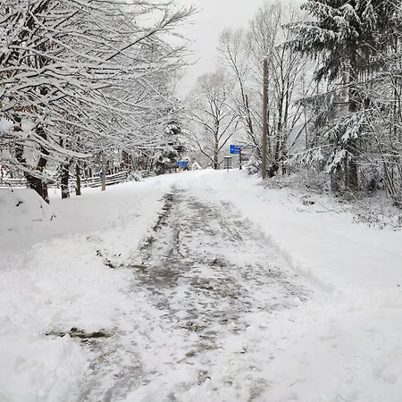 Mini Zakrut 게스트하우스 3*