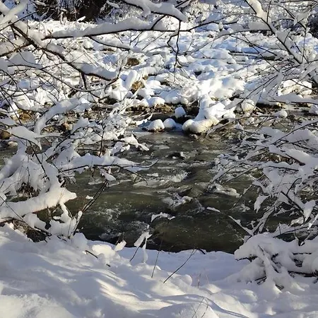 Mini Zakrut בית הארחה 3*